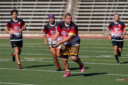 2024 McGill Alumni Rugby Reunion