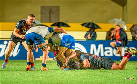 SRA 2024 - Pampas (22) vs (12) Yacaré