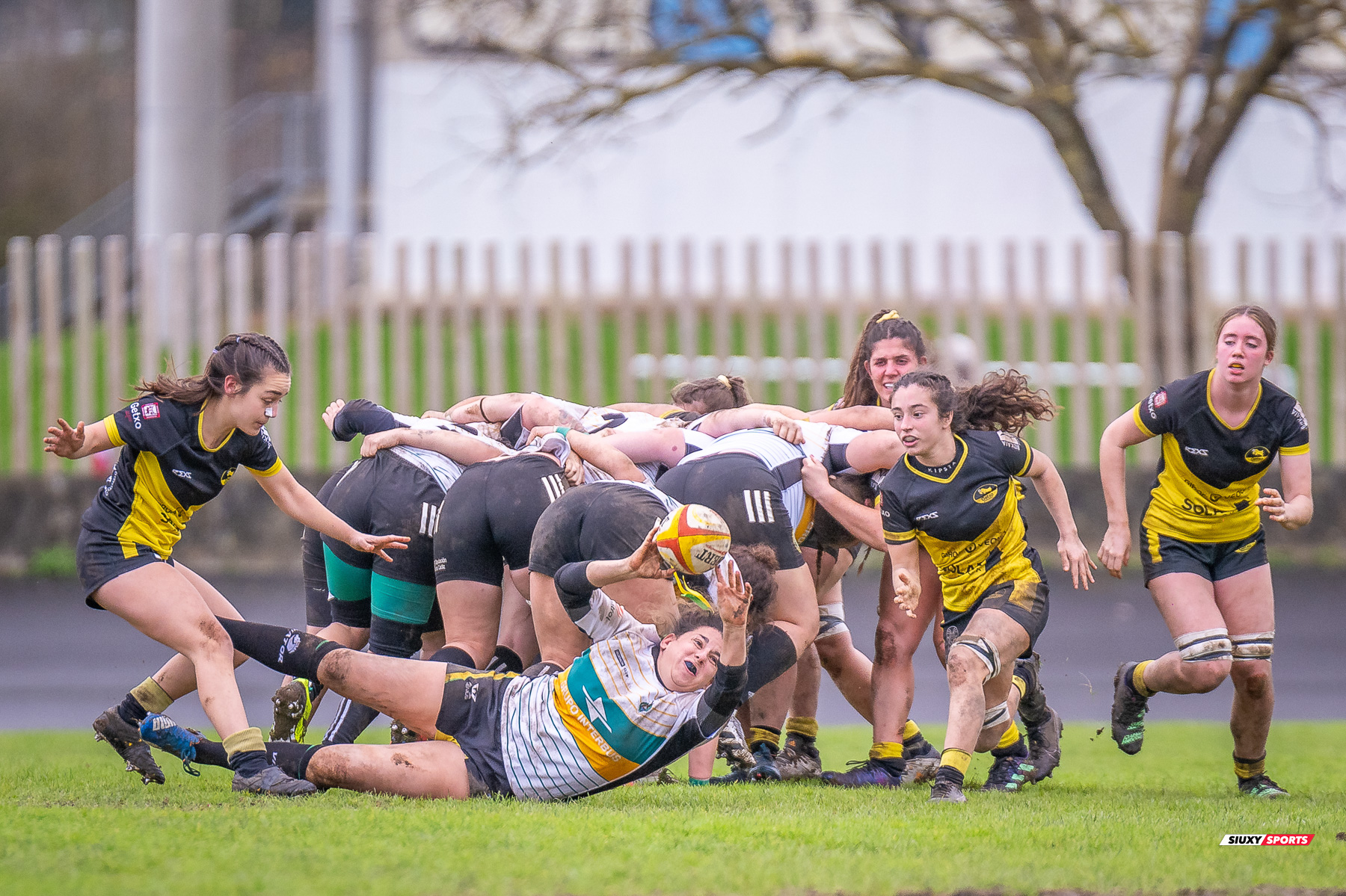  Getxo Artea Rugby Taldea - CR Atlético Portuense - Rugby - FER 2024 - DHB F - Getxo Neskak Rt (29) vs (0) CR Atl. Portuense (#FER24DHBGNPOR01) Photo by: Fredy Monfoto | Siuxy Sports 2024-01-14