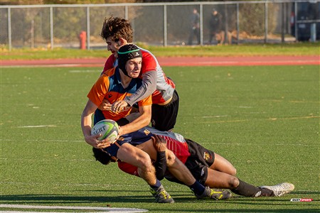 RSEQ 2024 - Démi Finale Rugby Masc Cegep - André Laurendeau (50) vs (20) Vanier