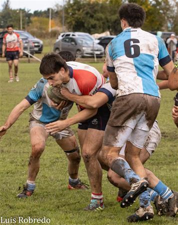 URBA 2024 - 1ra C - Areco RC (10) vs (45) Centro Naval