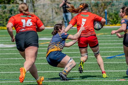 RQ 2024 - Super Ligue F - TMR (5) - (74) Club de Rugby de Québec