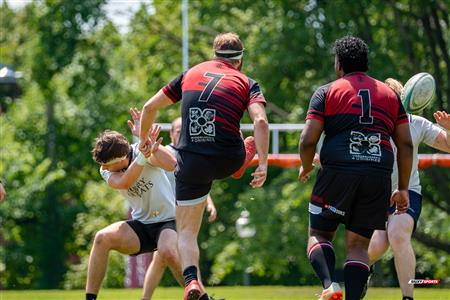 RQ 2024 - LPR1 M2 - Westmount RC (10) vs (41) Sainte-Anne-de-Bellevue RFC
