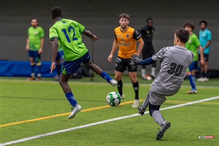TKL 2024 Div 1 - Arsenal de Montreal D1 (4) vs (4) Bandjos FC D1