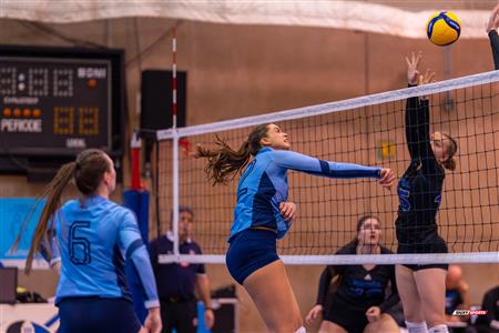 RSEQ - 2024 Volley F - U de Montréal (3) vs (0) UQAM