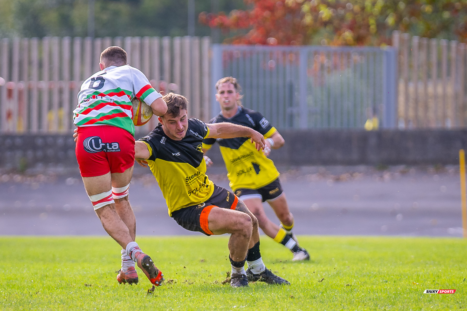  Getxo Artea Rugby Taldea - Hernani Club Rugby Elkartea - Rugby - FER 2024 - Getxo Artea Rugby Taldea (41) vs (8) Hernani Club Rugby Elkartea  (#FER24GETHER10) Photo by: Fredy Monfoto | Siuxy Sports 2024-10-20