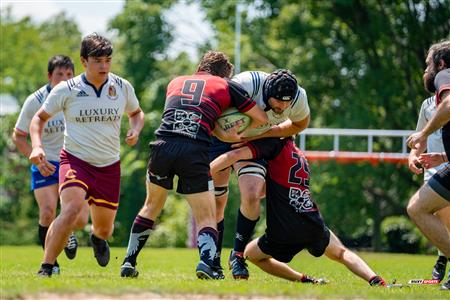 RQ 2024 - LPR1 M2 - Westmount RC (10) vs (41) Sainte-Anne-de-Bellevue RFC