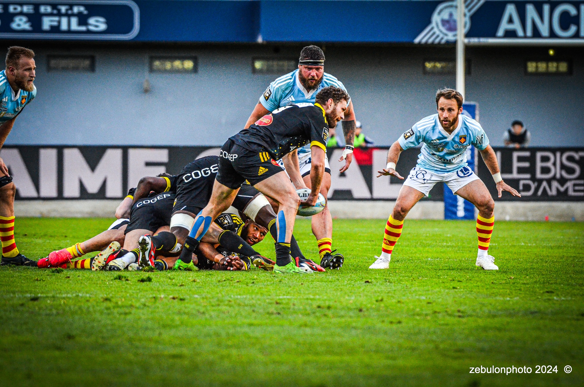  US Arlequins Perpignanais - Stade Rochelais - Rugby - TOP 14 - Perpignan (27) vs (15) La Rochelle (#TOP12USAPSR02) Photo by: Photo Zebulon | Siuxy Sports 2024-02-24