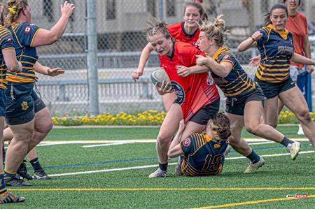 RQ 2024 - SUPER LIGUE F - TMR (5) - (74) CLUB DE RUGBY DE QUÉBEC -  Reel 2
