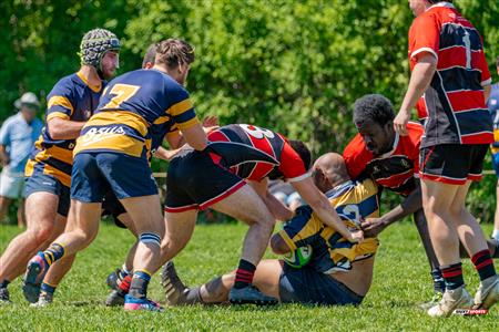 RQ 2024 - Super Ligue M Rés - Beaconsfield RFC (17) vs (17) Town of Mount Royal RFC