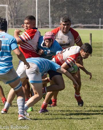 URBA 2024 - 1ra C - Areco RC (24) vs (17) Ciudad de Bs As