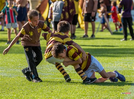 URBA 2024 - Top 12 - Final - Belgrano Athletic (17) vs (20) Asociacion Alumni