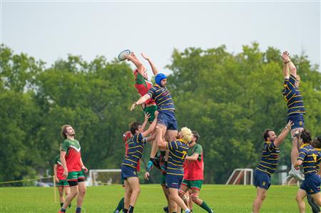 RQ 2024 - Finales - SLM2 - RCM vs TMR