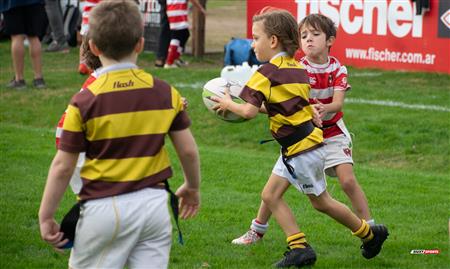 URBA 2024 - Top 12 Superior - Alumni (9) vs (22) Belgrano Athletic Club