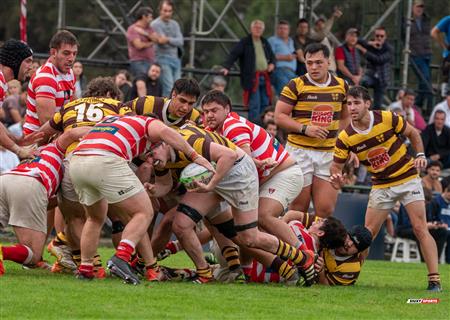 URBA 2024 - Top 12 Superior - Alumni (9) vs (22) Belgrano Athletic Club