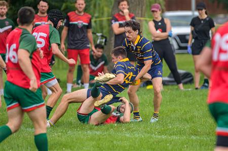 RQ 2024 - Finales - SLM2 - RCM vs TMR