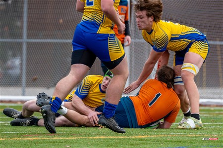 RSEQ 2024 - Final Rugby Masc CEGEP - John Abbott (48) vs (18) André Laurendeau - First Half