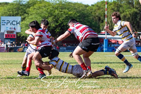 UAR - Torneo del Interior 2024 - Final - Jockey Cordoba (24) vs (30) Tucuman Lawn Tennis