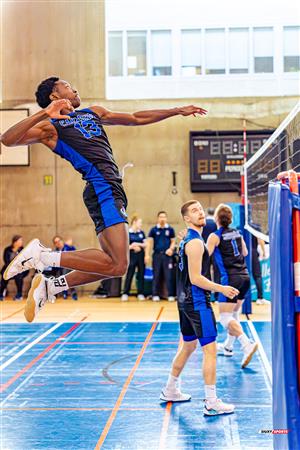 RSEQ - 2024 Volley M - U de Montréal vs U de Sherbrooke - Avant Match