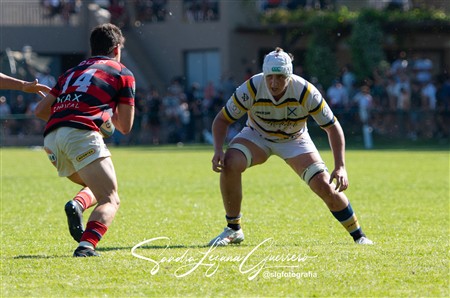 UAR - Torneo del Interior -  Tucuman Lawn Tennis Club vs Los Tordos RC