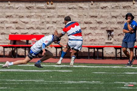 ECRC 2024 - Rugby Québec Dével. (31) vs (15) FreeJacks Independents - 5th place 