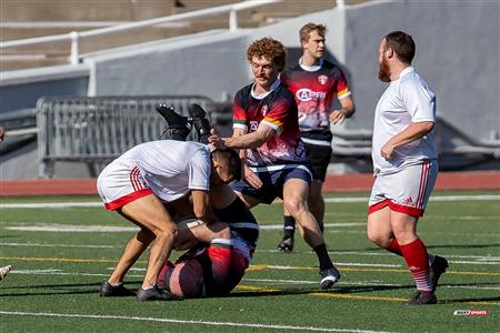 2024 McGill Alumni Rugby Reunion