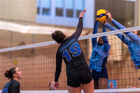 RSEQ - 2024 Volley F - U de Montréal (3) vs (0) UQAM