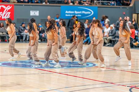 BSL - Montreal Toundra vs Frederick Flying Cows - Before game and half time show