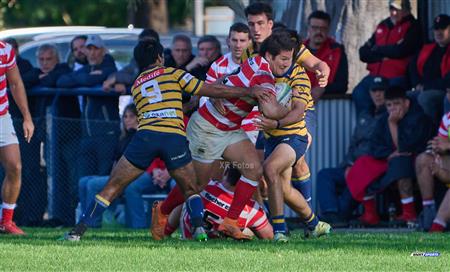 URBA 2024 - TOP 12 Superior -  Regatas de BV (13) vs (18) Asociacion Alumni 