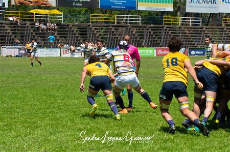 UAR - Nacional de Clubes 2019 - Tucuman Lawn Tennis (35) vs (50) La Plata RC