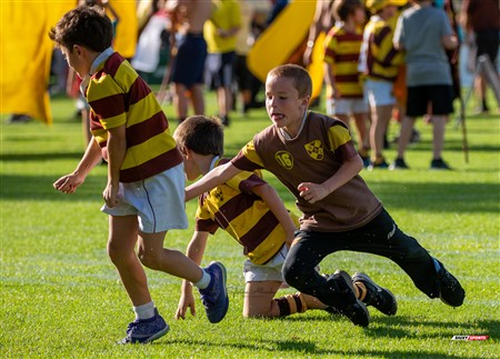 URBA 2024 - Top 12 - Final - Belgrano Athletic (17) vs (20) Asociacion Alumni