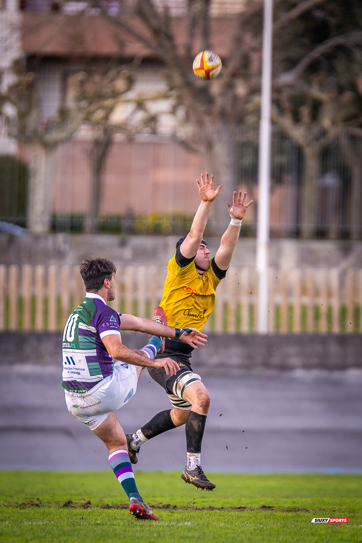  Getxo Artea Rugby Taldea - Club Rugby Málaga - Rugby - FER 2024 - DHB - Getxo RT (52) vs (10) CR Malaga (#FER24DGBGETMAL02) Photo by: Fredy Monfoto | Siuxy Sports 2024-02-10