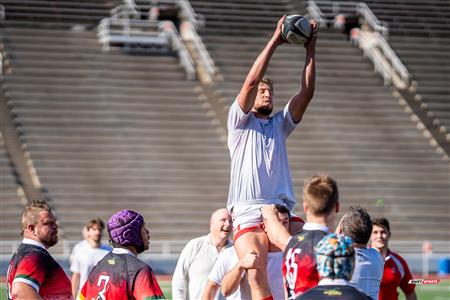 2024 McGill Alumni Rugby Reunion