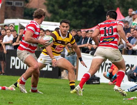 URBA 2024 - Top 12 Superior - Alumni (9) vs (22) Belgrano Athletic Club