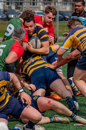 RQ 2024 - Match Pré-Saison - Rugby Club Montréal (19) vs (29) Town of Mount Royal - M