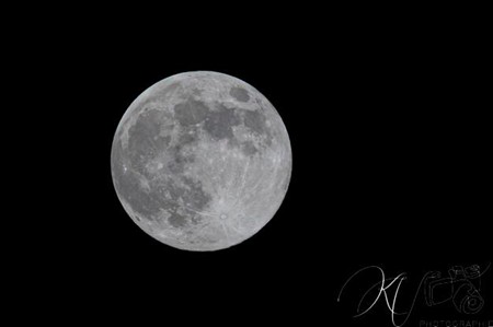 FFR 2024 - Pro D2 - FC Grenoble Rugby (37) vs (7) Soyaux Angouleme