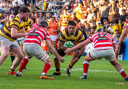 URBA 2024 - Top 12 - Final - Belgrano Athletic (17) vs (20) Asociacion Alumni