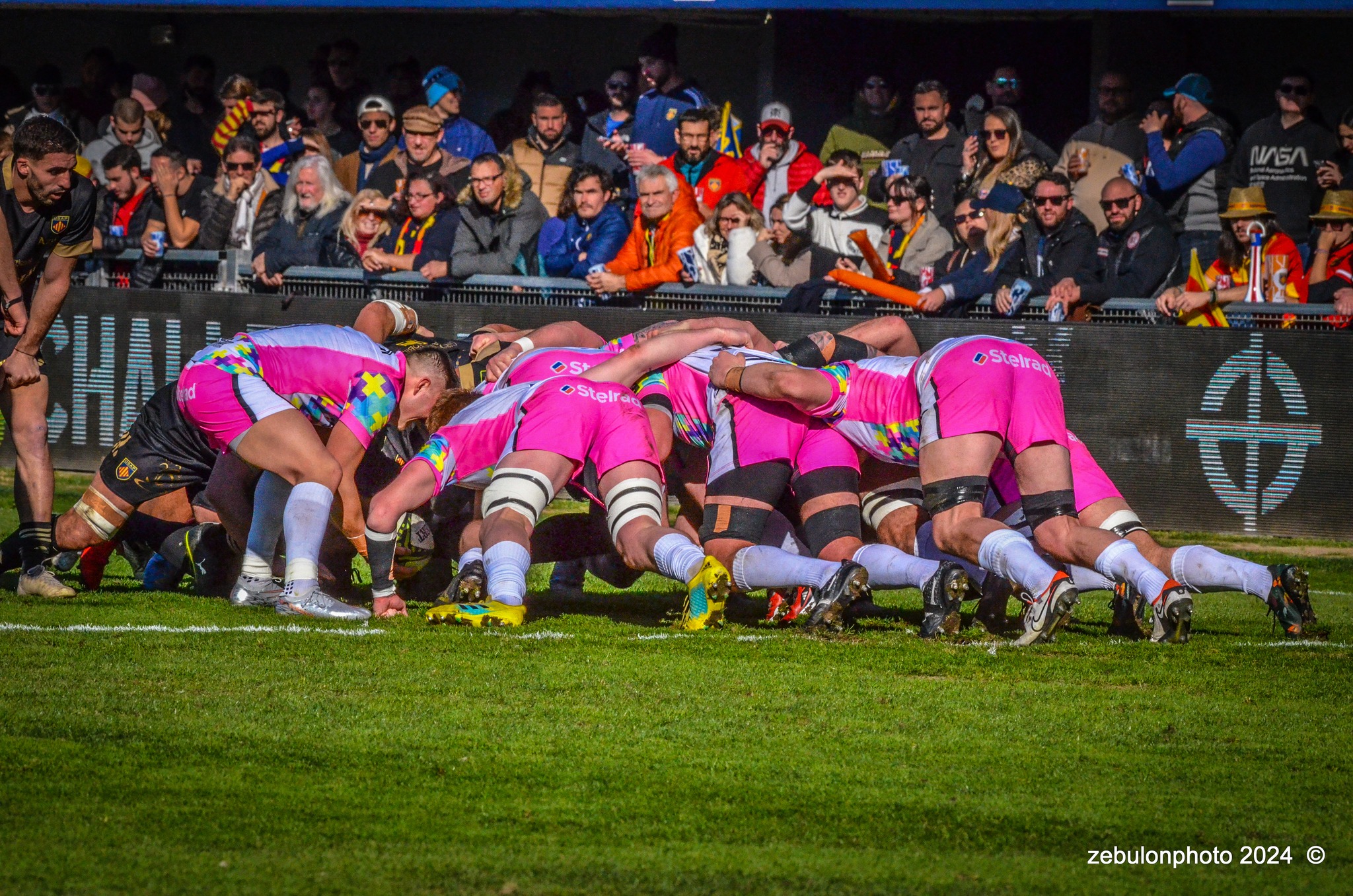  US Arlequins Perpignanais - Newcastle Falcons - Rugby - Challenge Cup - Perpignan (23) vs (32) Newcastle Falcons (#CC24USAPNF01) Photo by: Photo Zebulon | Siuxy Sports 2024-01-21