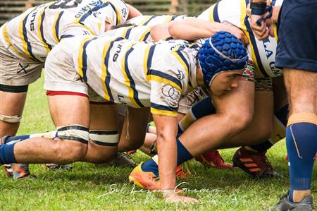 URT 2024 - Tucuman Lawn Tennis Club (52) vs (27) Lince Rugby Club