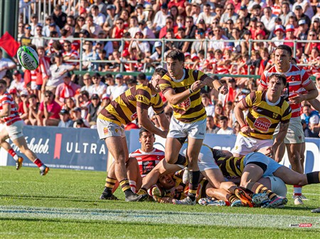 URBA 2024 - Top 12 - Final - Belgrano Athletic (17) vs (20) Asociacion Alumni