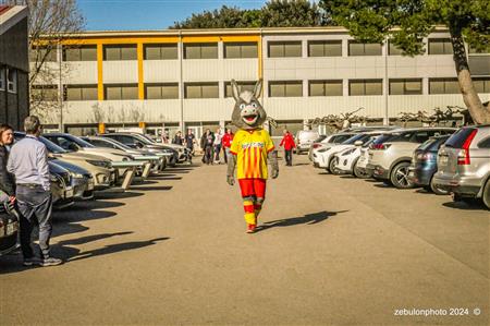 TOP 14 - Perpignan (26) vs (5) Racing 92