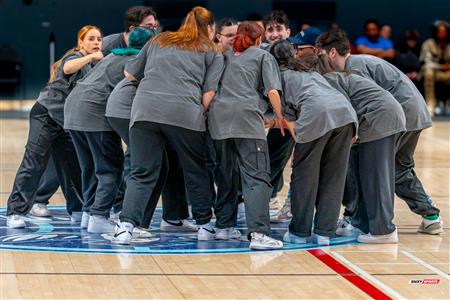 BSL - Montreal Toundra vs Frederick Flying Cows - Before game and half time show