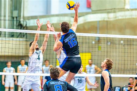 RSEQ - 2024 VOLLEY M - U DE MONTRÉAL (1) VS (3) U DE SHERBROOKE - Reel 2