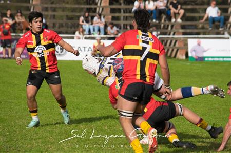 Tucuman Lawn Tennis vs Cardenales RC