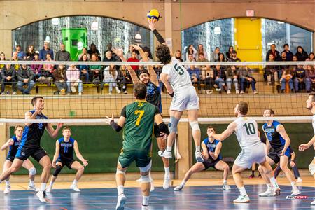 RSEQ - 2024 VOLLEY M - U DE MONTRÉAL (1) VS (3) U DE SHERBROOKE - Reel 1