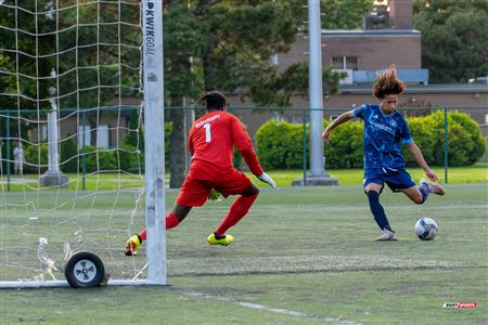 PLSQ - CS Mont-Royal Outremont (2) vs (3) CS de St-Hubert