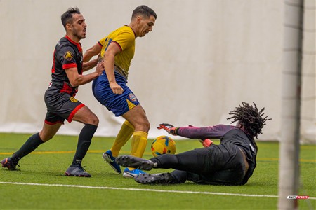 TKL 2024 Div 2 - FC Lion vs Arsenal de Montréal - Match hors championnat