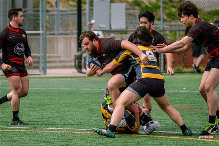 PARCO TOURNOI A.STEFU 2024 - Game05 - CRQ (0) vs (24) TMR