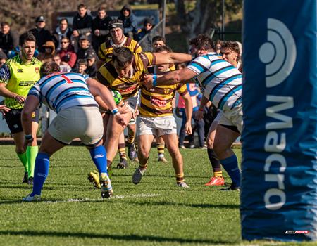 URBA 2024 - Top 12 Superior - San Isidro Club (34)  vs (31) Belgrano Athletic Club