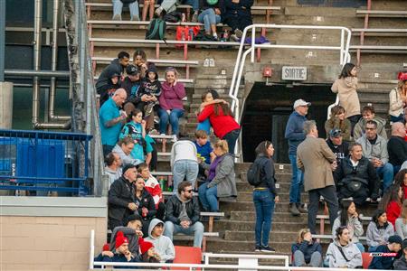 COVO CUP 2024 & 150th Anniversary 1st game - McGill University (57) vs (0) Harvard University - Rugby - 2nd Half